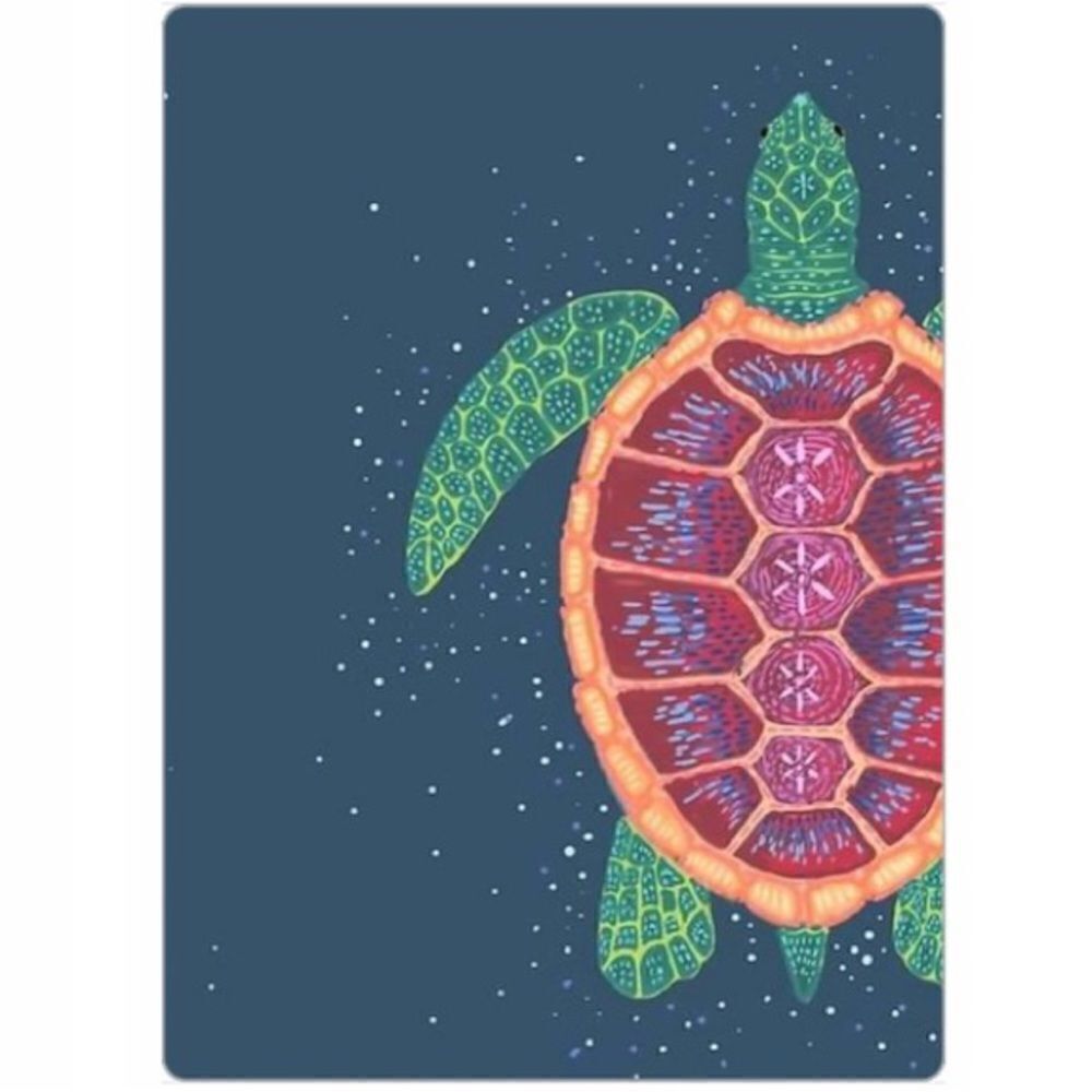 Colorful Turtle 🐢 Magnet - Picture 2 of 2
